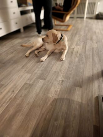 Wir müssen uns leider aus privaten Gründen von unserem