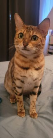 Maliya & Kleo, Das sind Maliya (2) und Kleo (9 Monate).