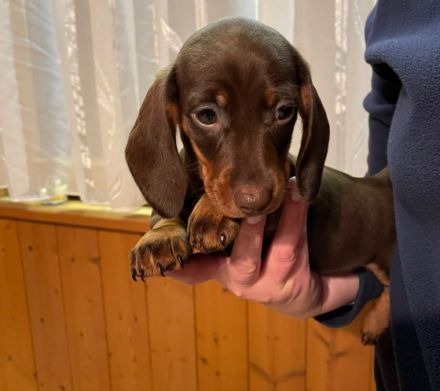 Sehr geehrte Damen und Herren, Anfang September kamen