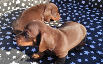 Sehr geehrte Damen und Herren, Anfang September kamen