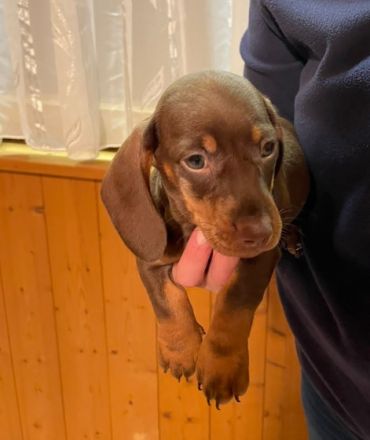 Sehr geehrte Damen und Herren, Anfang September kamen