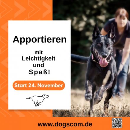 Apportieren für Familienhunde