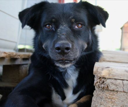 Tamo - unser schüchterner Herzensbrecher
