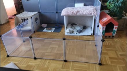 Snowi & Olaf, Leider muss ich mich aus privaten Gründen