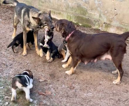 Zwischen dem 19. und 20. Oktober wurden unser Finn und