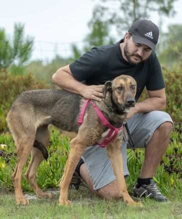 Muffin, Cupcake, Brownie - drei unterschiedliche Charaktere