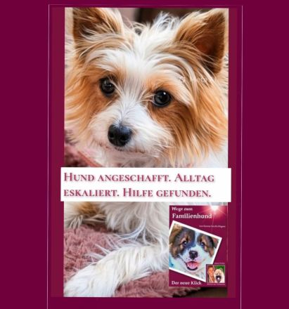 Buch für Welpenkäufer Wege zum Familienhund