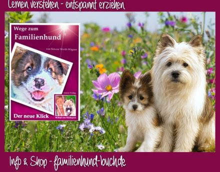Buch für Welpenkäufer Wege zum Familienhund