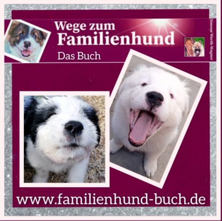 Buch für Welpenkäufer Wege zum Familienhund