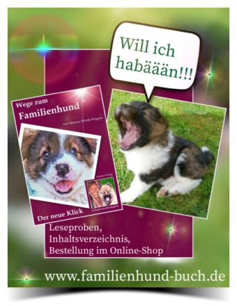Buch für Welpenkäufer Wege zum Familienhund