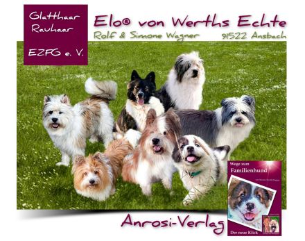 Buch für Welpenkäufer Wege zum Familienhund