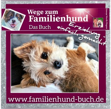 Buch für Welpenkäufer Wege zum Familienhund