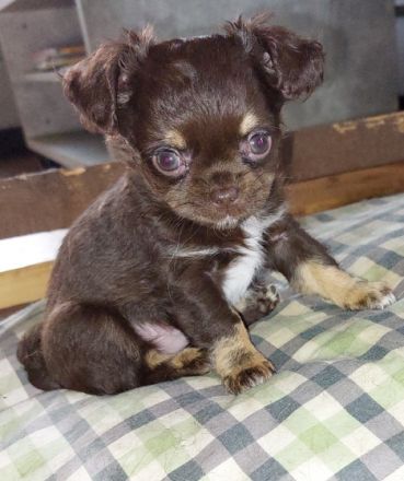 Hallo wir sind Feline und Fabius und suchen noch ein