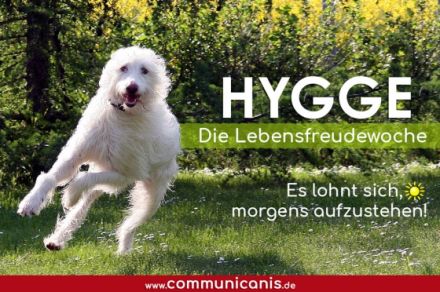 Hygge - die Lebensfreudewoche | 21.10.24