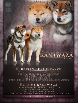 KAMIWAZA kennel offers red boy from Mult.champion