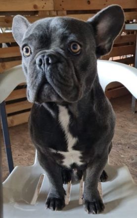 Guten Tag liebe Interessenten am 26.11.2022 hat unsere