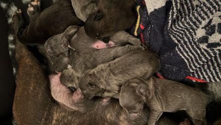 Guten Tag liebe Interessenten am 26.11.2022 hat unsere