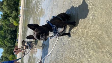 Guten Tag liebe Interessenten am 26.11.2022 hat unsere