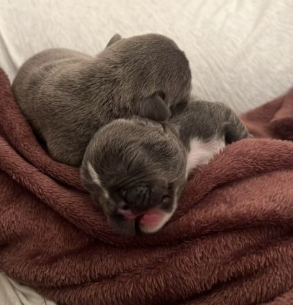 Guten Tag liebe Interessenten am 26.11.2022 hat unsere