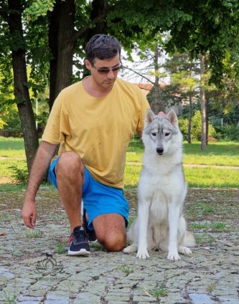 BELLAHUSK'S Africa, Eine wunderschöne Dame sucht