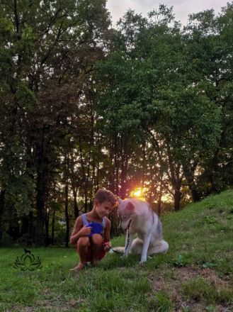 BELLAHUSK'S Africa, Eine wunderschöne Dame sucht