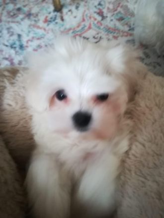 Unsere kleine Lala ist bereit ab sofort für ein