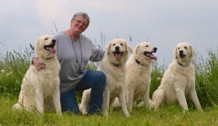 Hundeschule Angelika Lanzerath