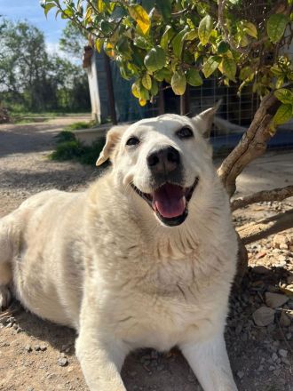 Snowwhite möchte ankommen.