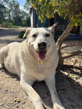Snowwhite möchte ankommen.