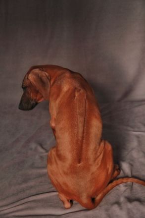 Two very perspective girls