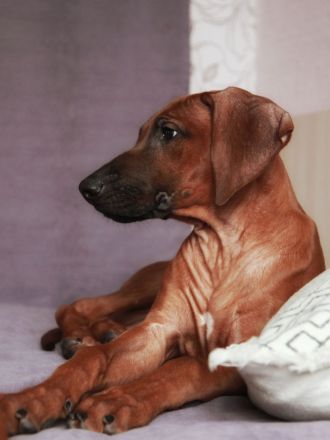 Two very perspective girls