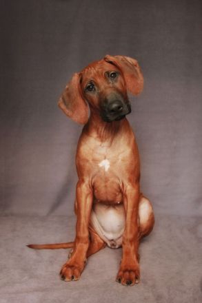 Two very perspective girls