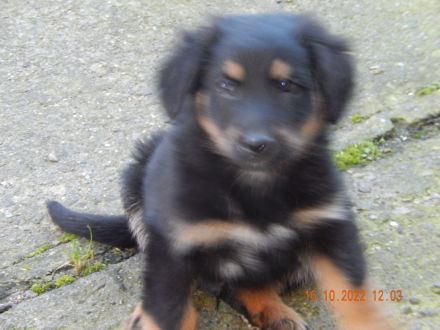 Drei von sieben die die Eltern nerven