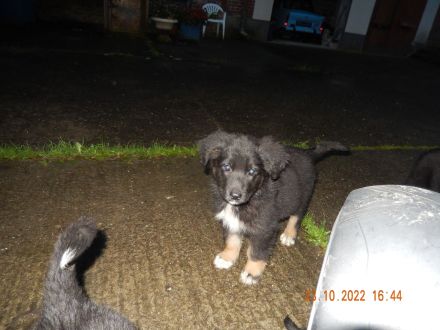 Drei von sieben die die Eltern nerven