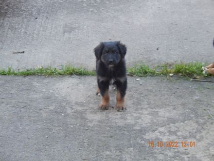 Drei von sieben die die Eltern nerven