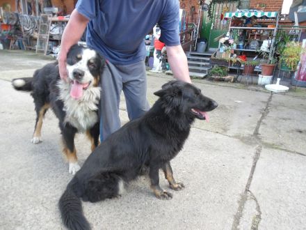 Drei von sieben die die Eltern nerven