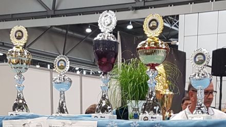 Vom Schneebärchen
