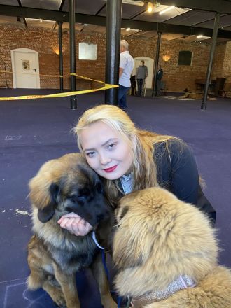 Leonberger Welpen 1A Verpaarung Löwengelb + Schwarzer Maske Leonberger vom Schloss Warlitz DRV