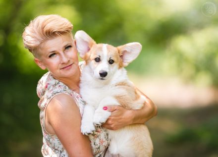 Welsh Corgi Pembroke - neuer Wurf - Anfang Februar!