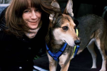 Individuelles Hundetraining + Verhaltensberatung, amtstierärztlich zertifiziert