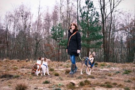 Individuelles Hundetraining + Verhaltensberatung, amtstierärztlich zertifiziert