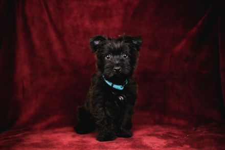 Nenuoramų namų\ Heimat der Rastlosen