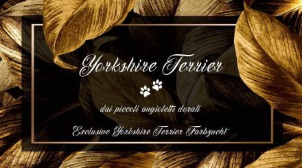 dai piccoli angioletti dorati