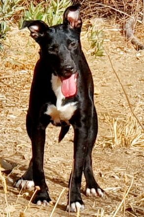 Keith möchte die Welt entdecken