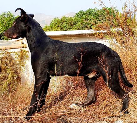 Keith möchte die Welt entdecken