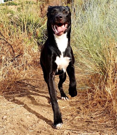 Keith möchte die Welt entdecken