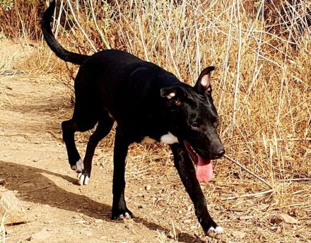 Keith möchte die Welt entdecken