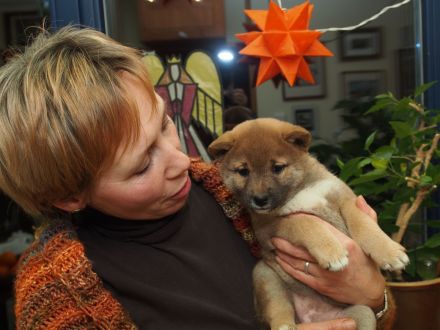 vom Dresdner Elbufer