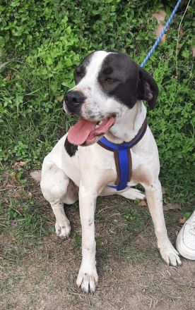 Ronda sucht ihren Platz