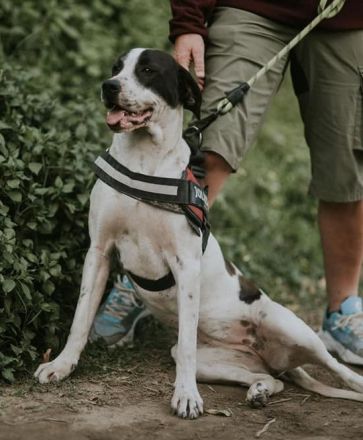 Ronda sucht ihren Platz